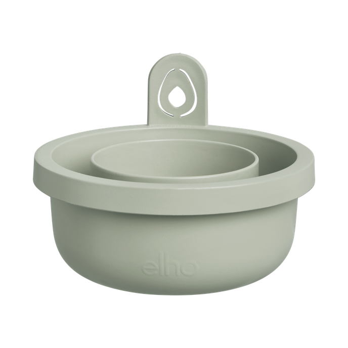 amazing avocado pot laubgrün